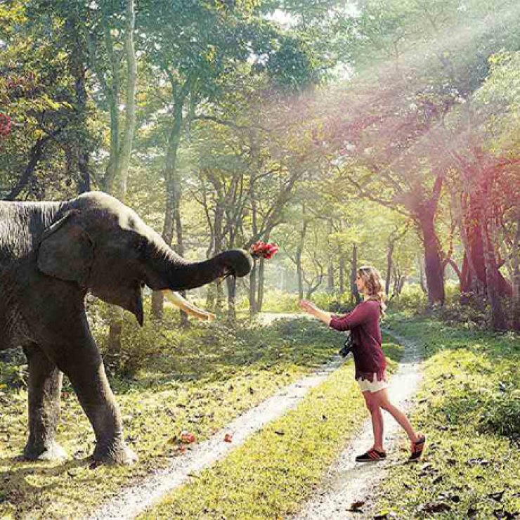 Jaldapara National Park