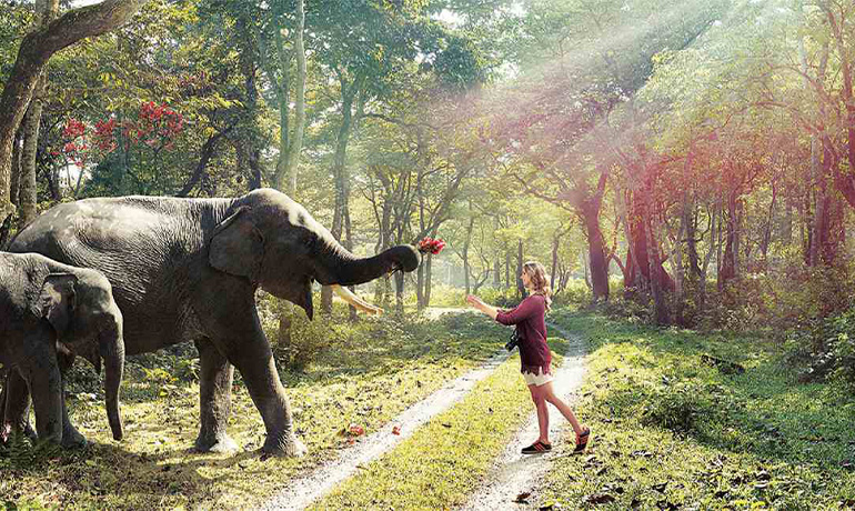 Jaldapara National Park